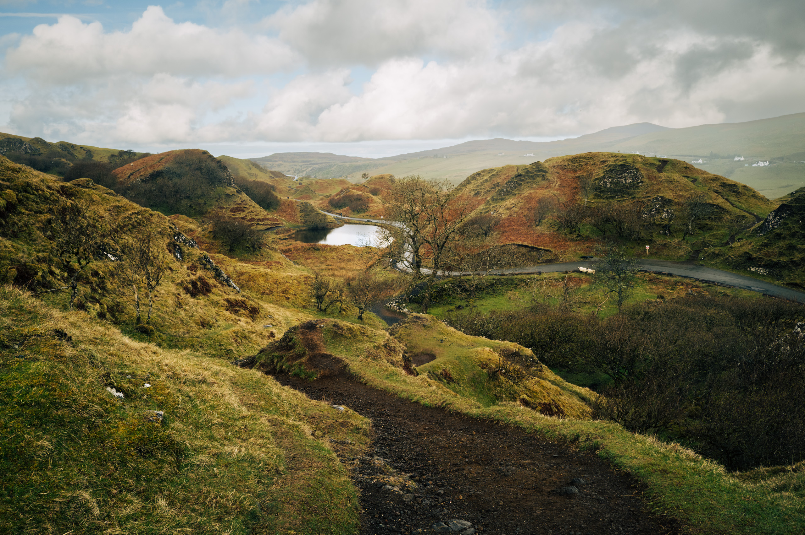 Scotland 14